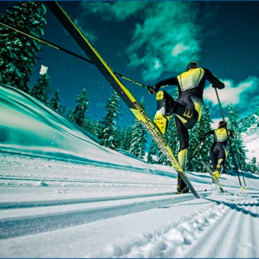 Руководство по покупке беговых лыж — важные советы